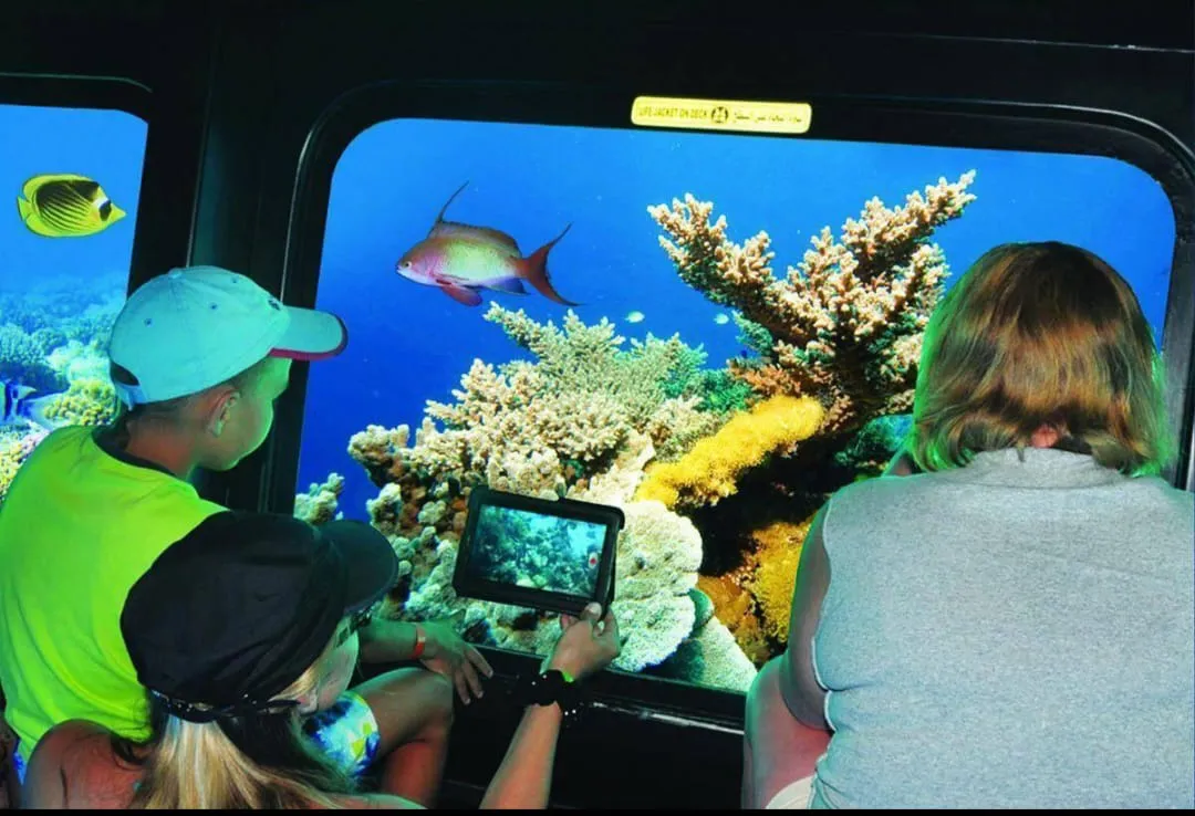 🌊✨ Semi-Submarine Sea Scope Adventure – El Gouna 🚤🐠 Sea Scope Adventure El Gouna /IMG-20260702-WA0083.jpg